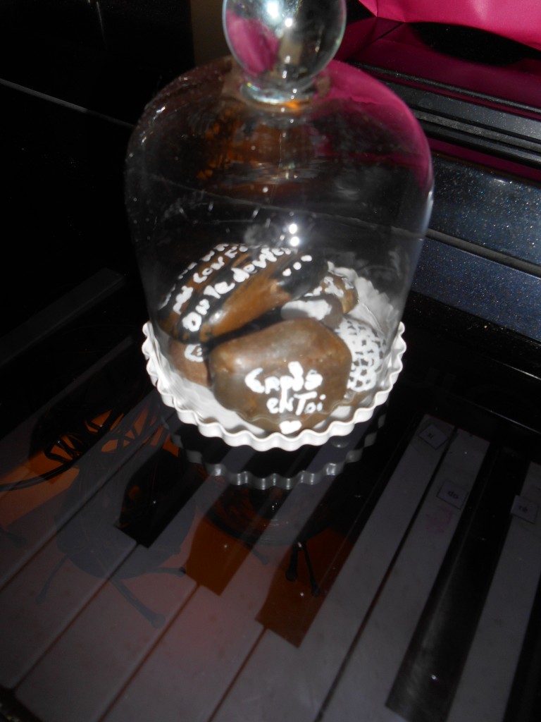 DSCN0794