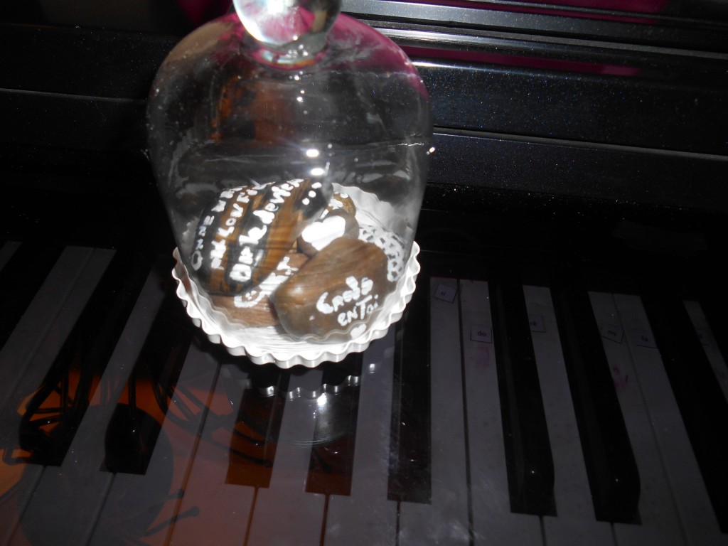 DSCN0795