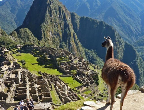 Çà vous dirait pas d’aller au Machu Picchu ?