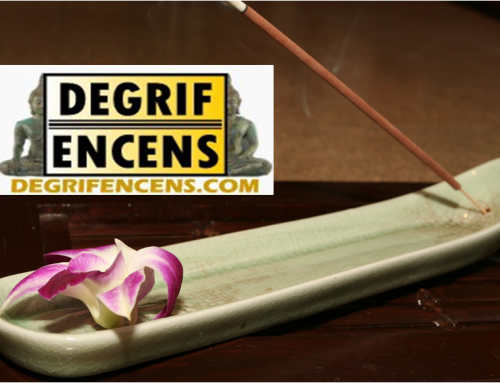 Mes 5 coups de coeur sur le site degrifencens.com