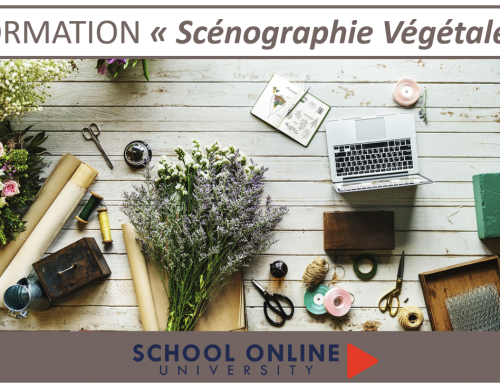 Apprendre la « Scénographie Végétale »